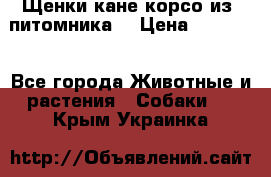 Щенки кане корсо из  питомника! › Цена ­ 65 000 - Все города Животные и растения » Собаки   . Крым,Украинка